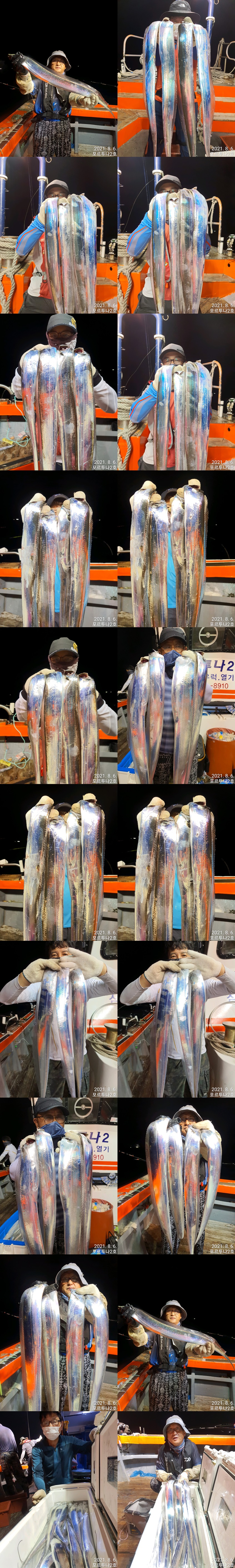 ((**여수포르투나**)) 갈치...2번이동후,,잡았습니다..