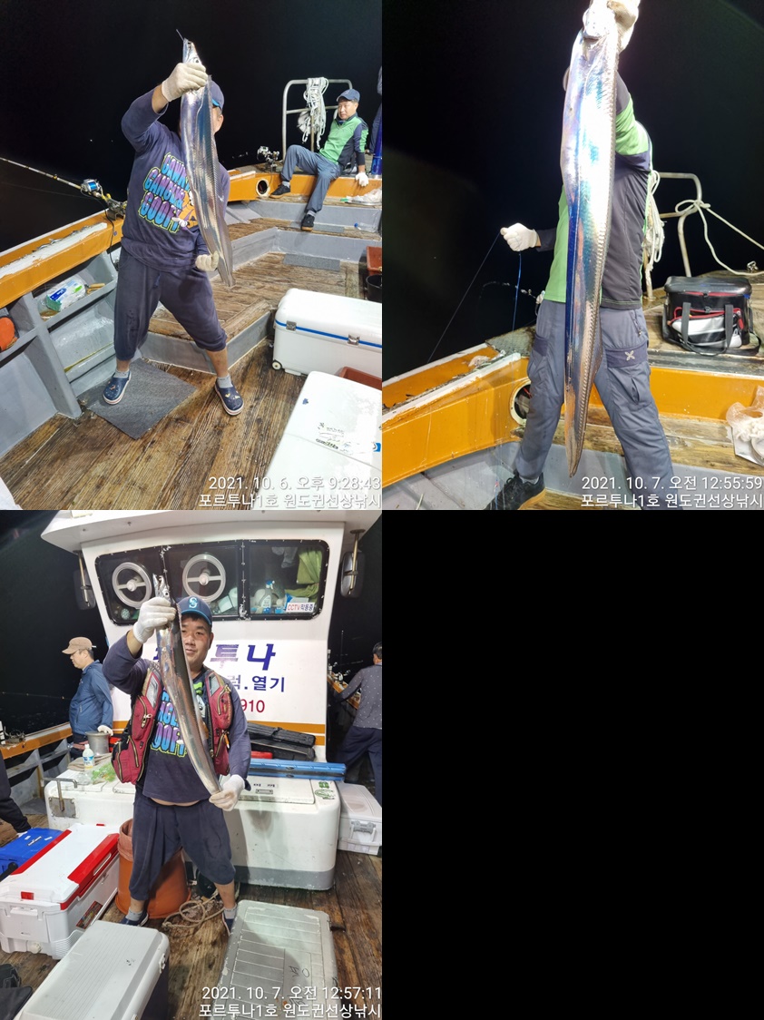 ((**여수포르투나**))  씨알좋은 왕갈치...