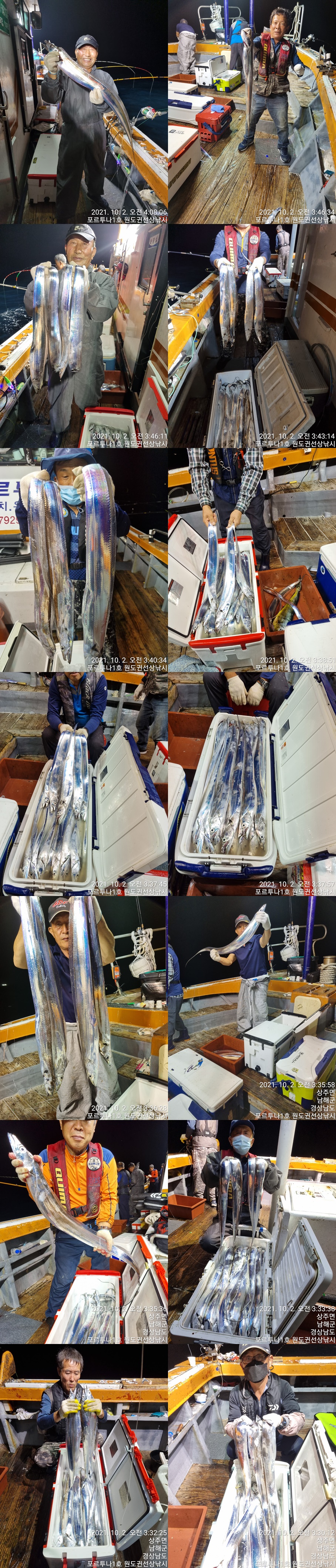 ((**여수포르투나**))  갈치가 쏟아졌습니다..