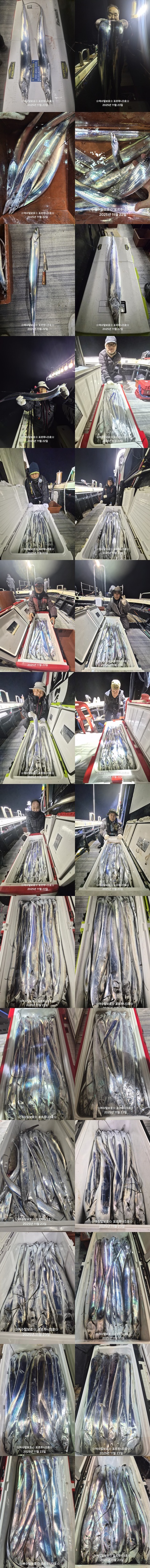 ((**여수포르투나**))  갈치 ..대박 입니다..